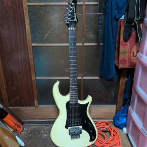 Aria Pro II RS Wildcat