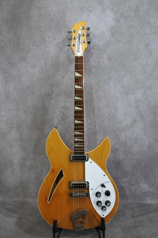RG-85 Rick semi-hollow